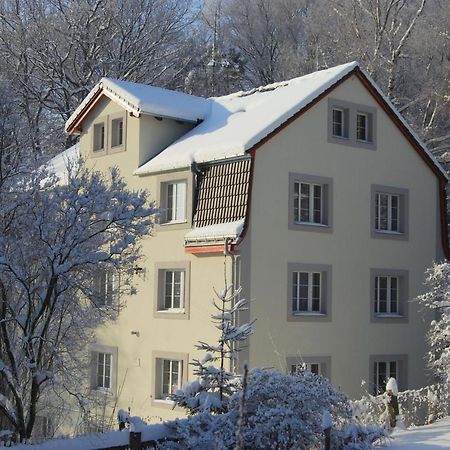 Pytloun Penzion Zeleny Haj Liberec Exterior photo
